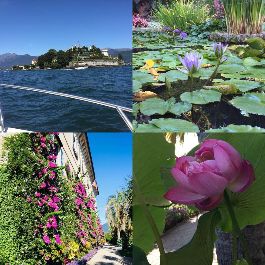 Lakeside Lago Maggiore Monvalle Екстер'єр фото